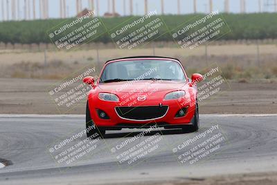 media/Jul-31-2022-Speed Ventures (Sun) [[bfb4b6530b]]/Black Group/Grapevine/
